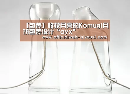 【包装】收获月亮的Komugi月饼包装设计“ayx”(图2) 爱游戏官方入口