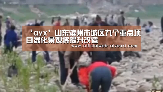 爱游戏体育全站