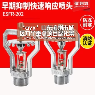 爱游戏体育全站