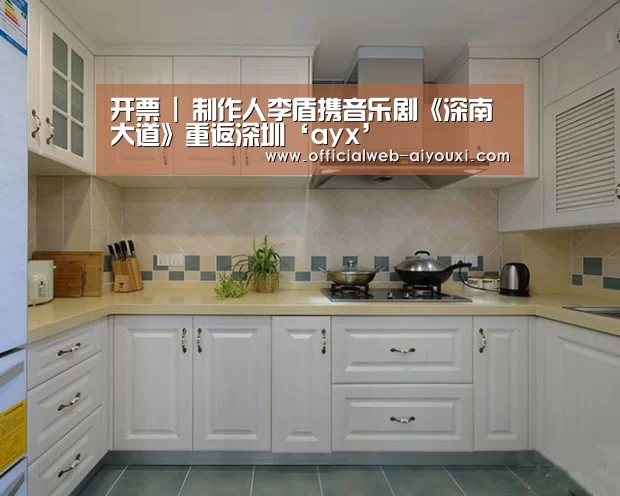 开票 | 制作人李盾携音乐剧《深南大道》重返深圳‘ayx’(图2) 爱游戏app