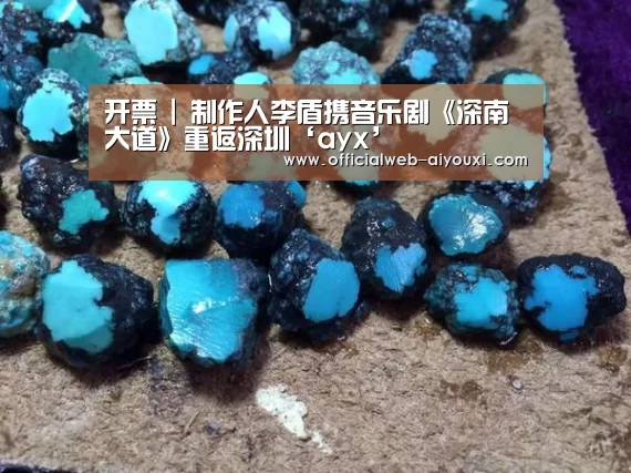 开票 | 制作人李盾携音乐剧《深南大道》重返深圳‘ayx’(图1) 爱游戏官方入口