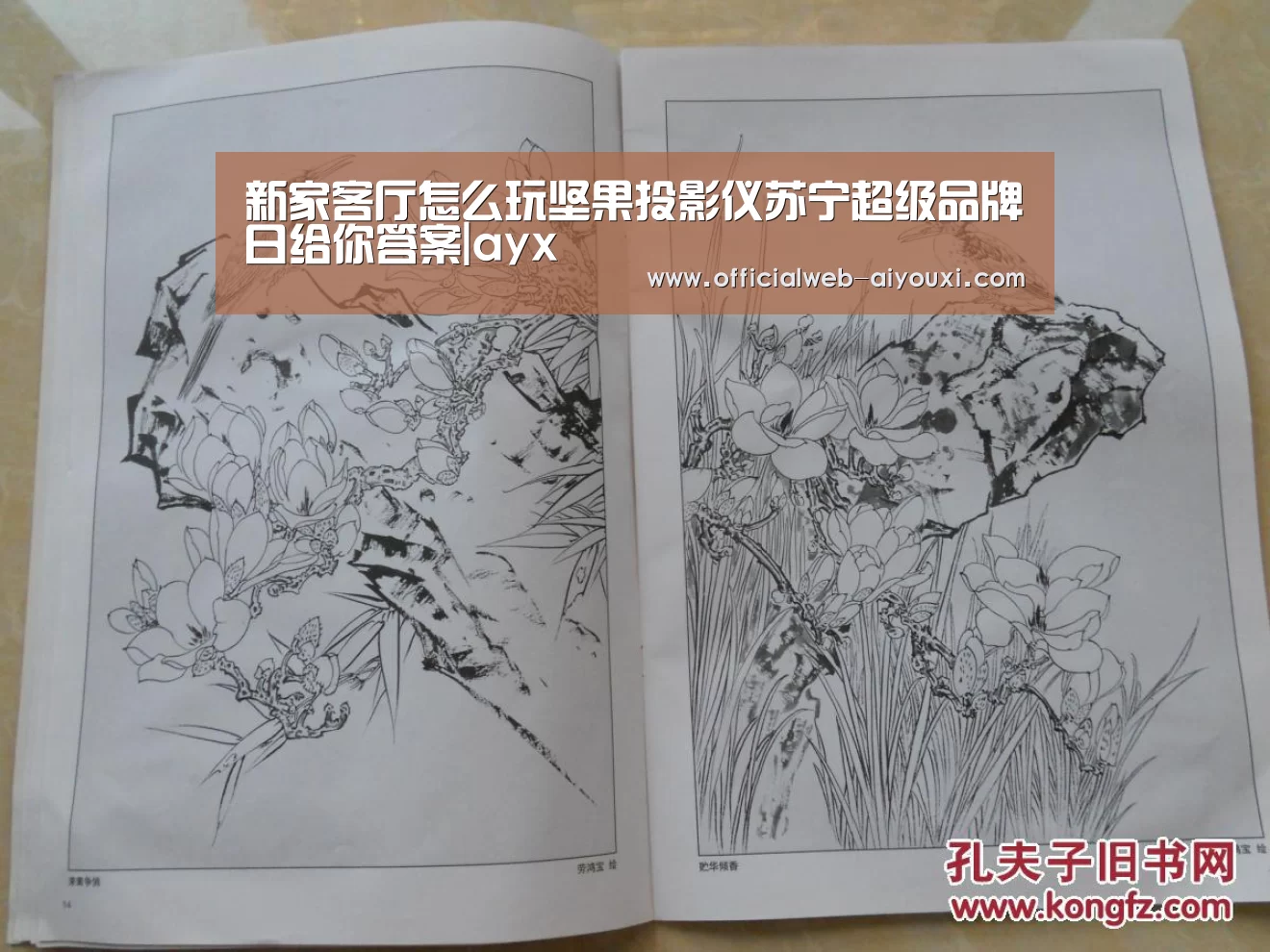新家客厅怎么玩坚果投影仪苏宁超级品牌日给你答案|ayx(图3)