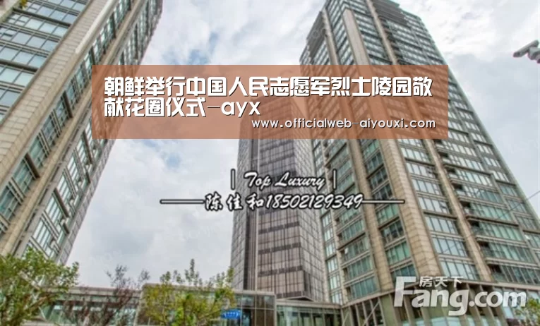爱游戏官方入口