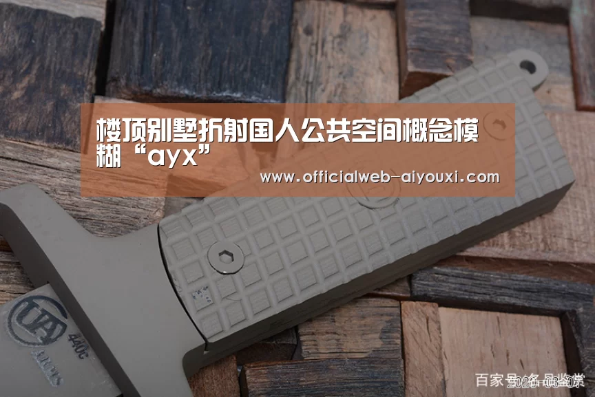 楼顶别墅折射国人公共空间概念模糊“ayx”(图1)