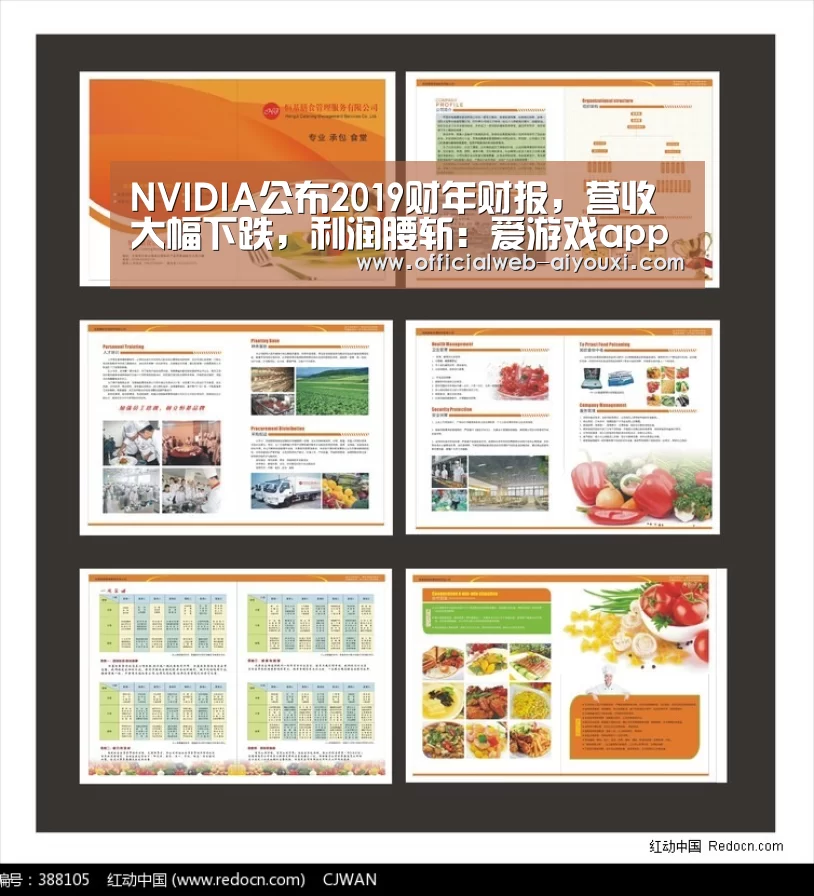 NVIDIA公布2019财年财报,营收大幅下跌,利润腰斩:爱游戏app(图4) 爱游戏app